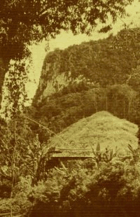 {{ :lieux:steppe.png?nolink |